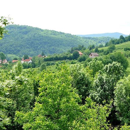Apartments Zugec Selište Drežničko Eksteriør bilde