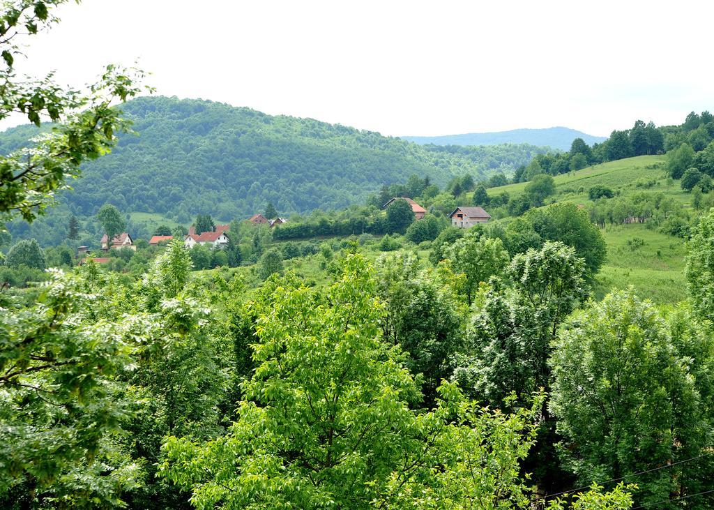 Apartments Zugec Selište Drežničko Eksteriør bilde
